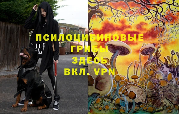 мяу мяу мука Балахна