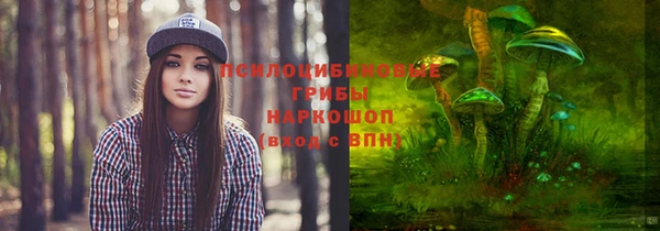 apvp Балабаново